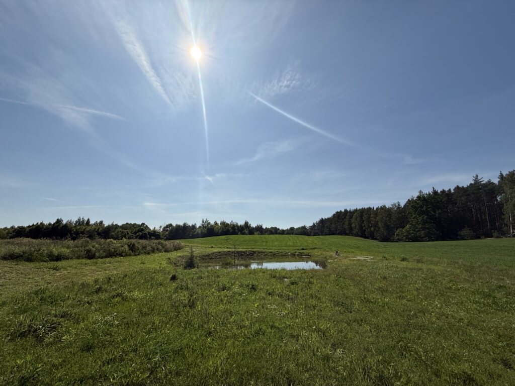 Sezon 2025 na Skurgwy Camping